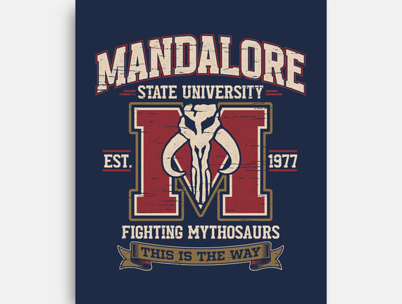 Mandalore University
