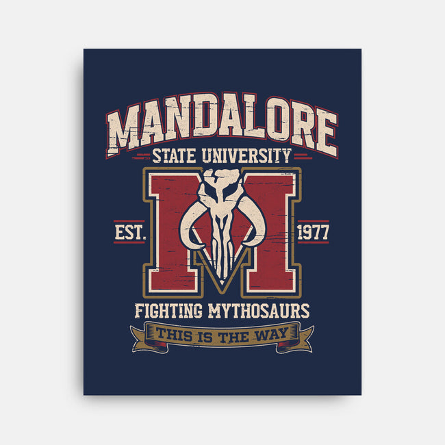 Mandalore University-None-Stretched-Canvas-Popnotic