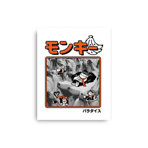 Monkey Paradise