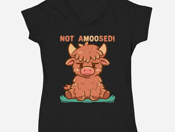 Not Amoosed Today