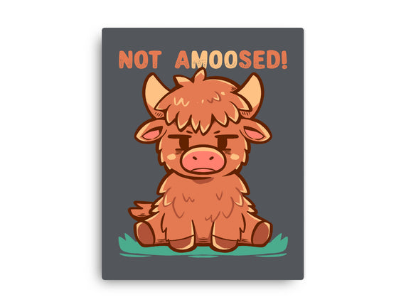 Not Amoosed Today