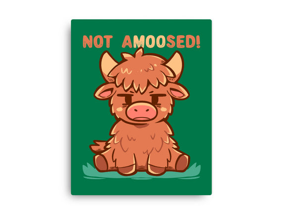 Not Amoosed Today