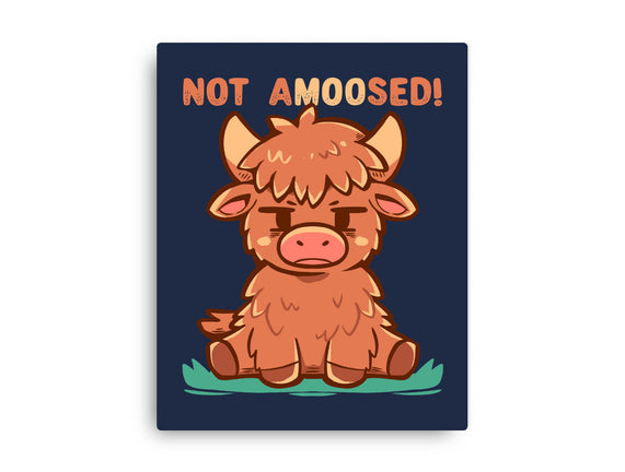 Not Amoosed Today