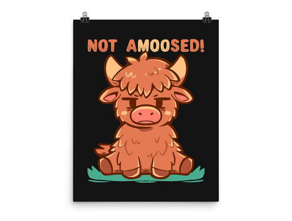 Not Amoosed Today