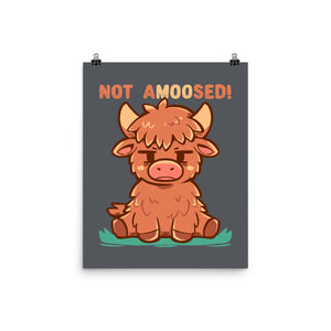 Not Amoosed Today