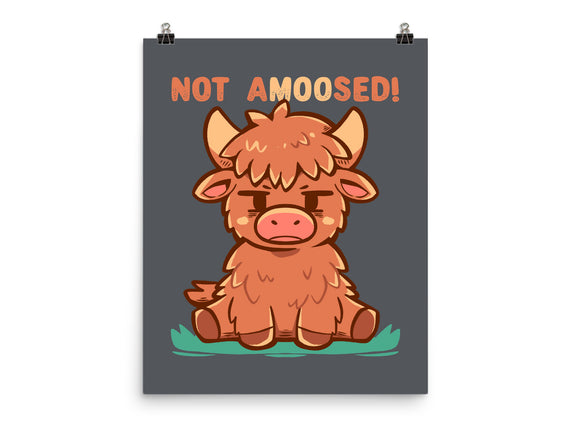 Not Amoosed Today