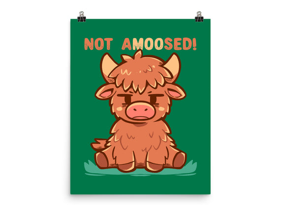 Not Amoosed Today