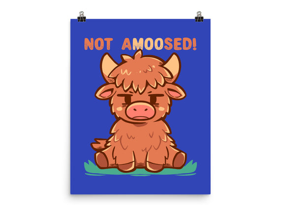 Not Amoosed Today