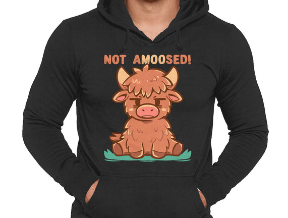 Not Amoosed Today
