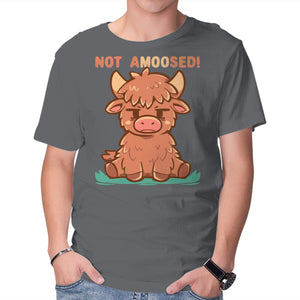 Not Amoosed Today