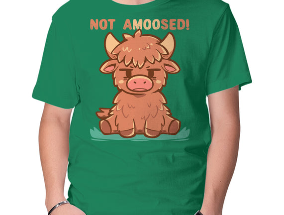 Not Amoosed Today