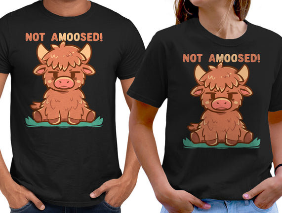 Not Amoosed Today