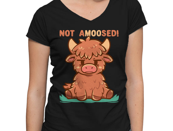Not Amoosed Today