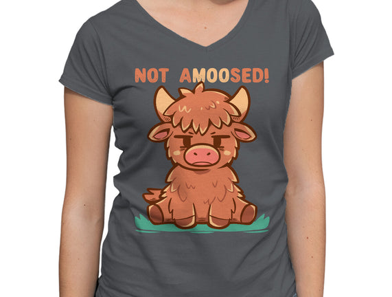 Not Amoosed Today