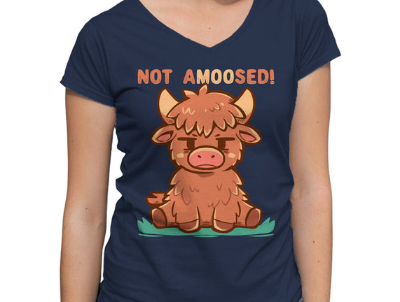 Not Amoosed Today