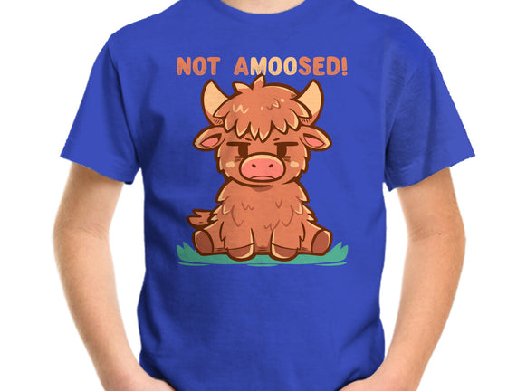 Not Amoosed Today