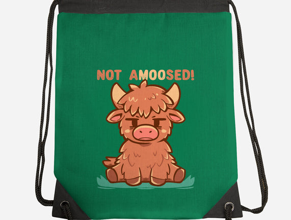 Not Amoosed Today