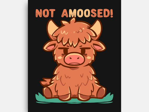 Not Amoosed Today