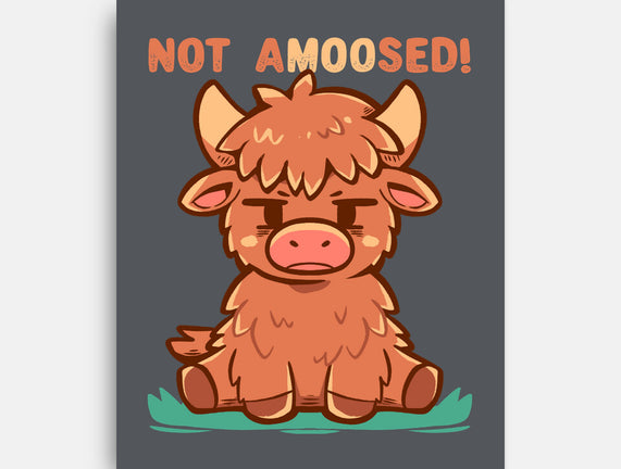 Not Amoosed Today