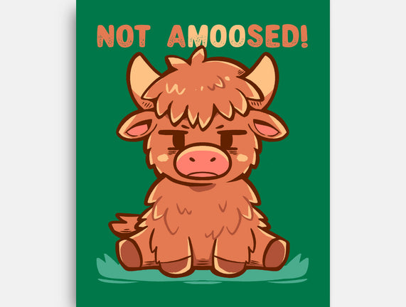 Not Amoosed Today
