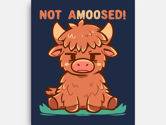 Not Amoosed Today