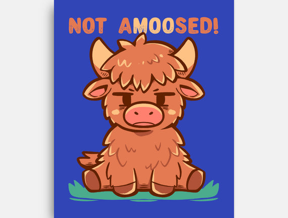 Not Amoosed Today