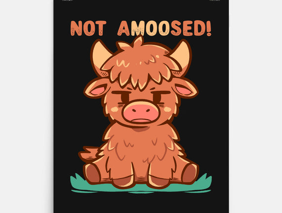 Not Amoosed Today