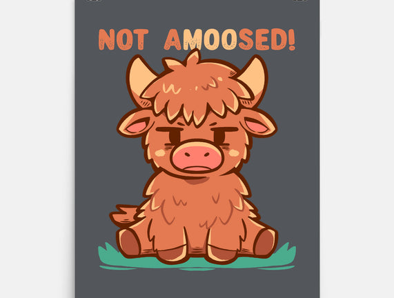 Not Amoosed Today