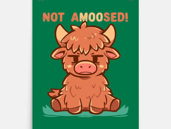 Not Amoosed Today