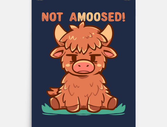 Not Amoosed Today
