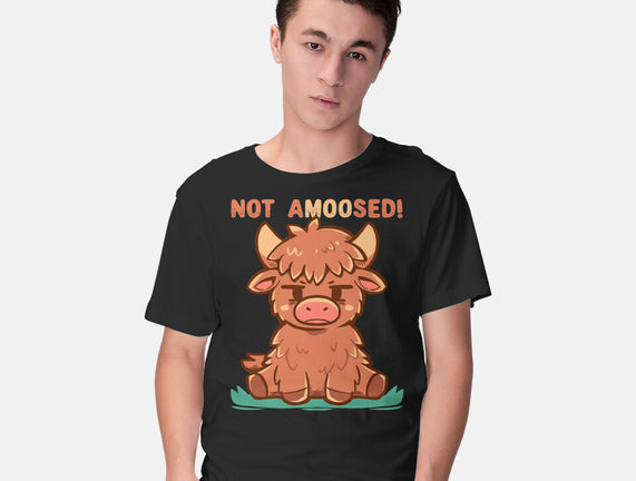 Not Amoosed Today