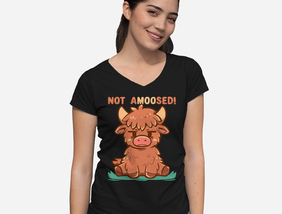 Not Amoosed Today