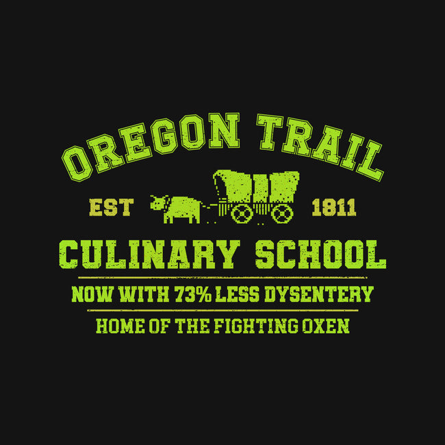 Oregon Trail Culinary School-Womens-Fitted-Tee-kg07