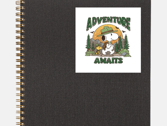 An Adventure Awaits