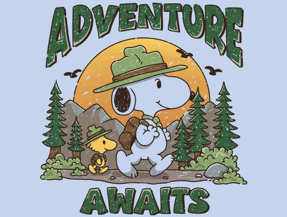 An Adventure Awaits