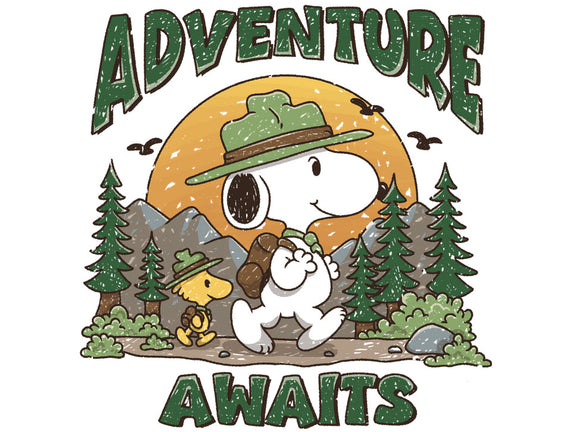 An Adventure Awaits