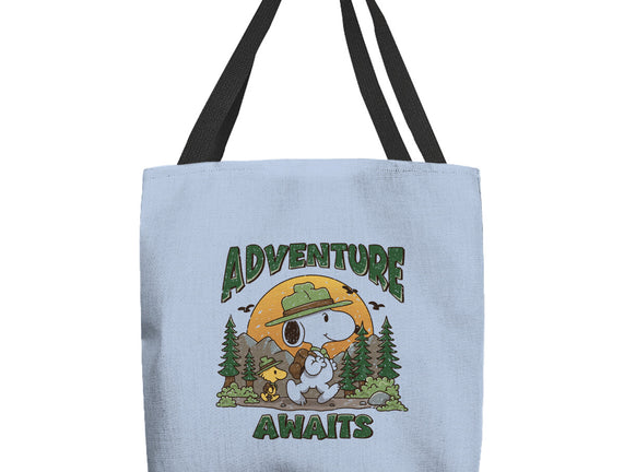 An Adventure Awaits