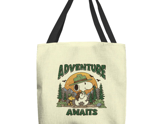 An Adventure Awaits