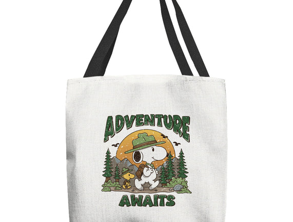 An Adventure Awaits