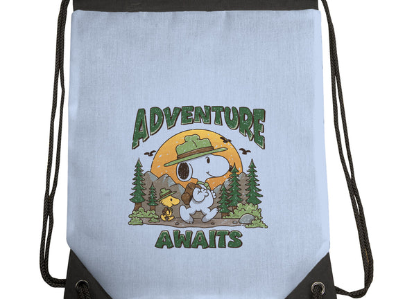 An Adventure Awaits