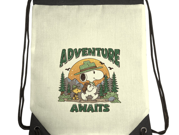An Adventure Awaits