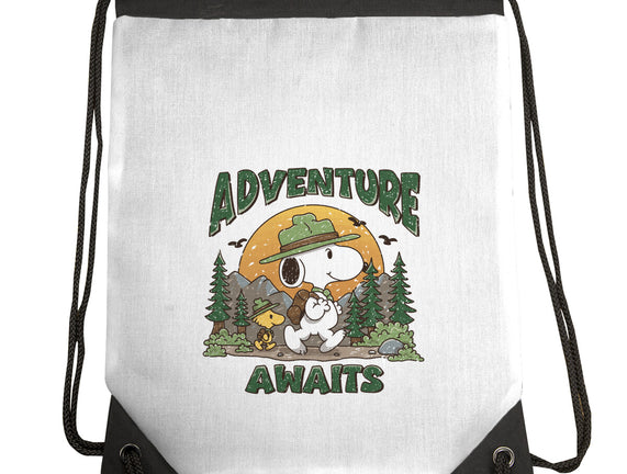 An Adventure Awaits
