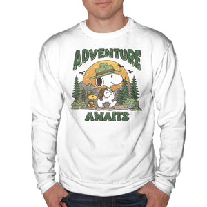 An Adventure Awaits