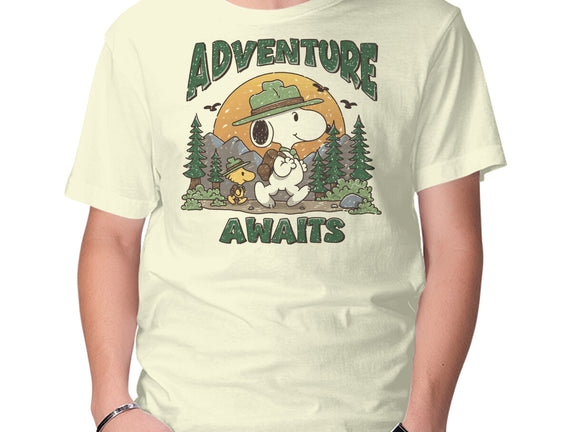 An Adventure Awaits