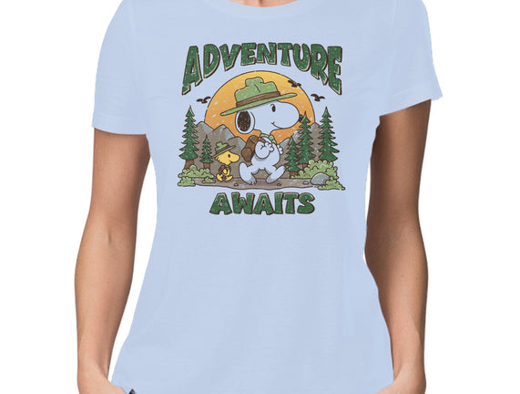 An Adventure Awaits