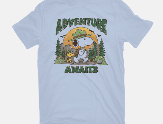 An Adventure Awaits