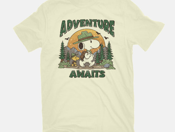 An Adventure Awaits