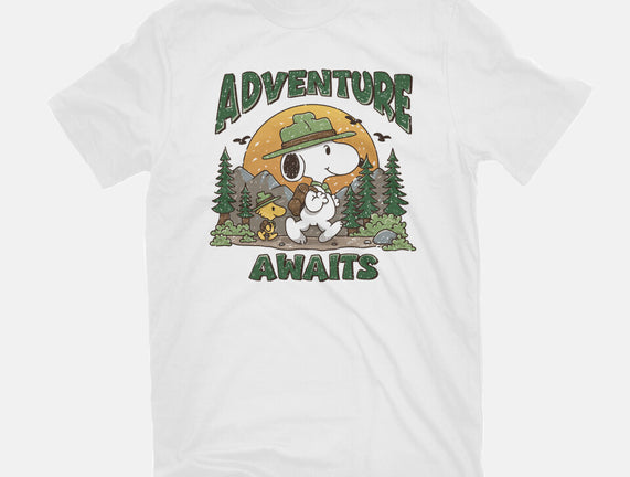 An Adventure Awaits