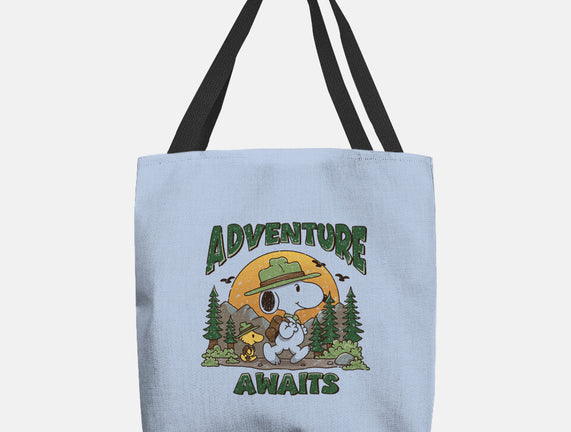 An Adventure Awaits