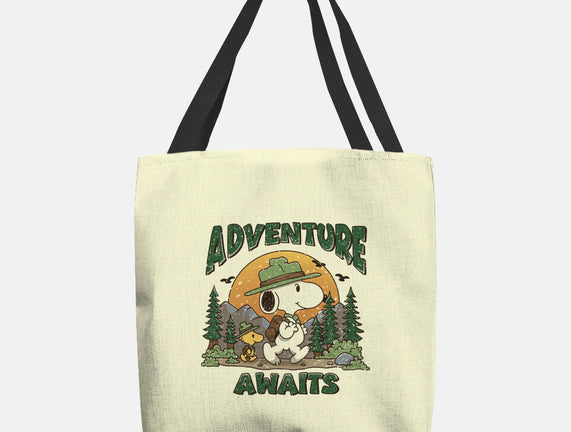 An Adventure Awaits